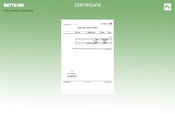 модерен стил за управување со сметките на Israel Bank of Hapoalim – шаблон за се